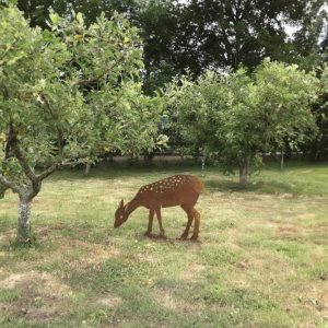 Corten Serisi - 08 | Ceylan